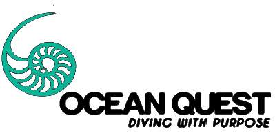 绿色鹦螺形图案左侧，右侧黑色大写字母“OCEAN QUEST”，下方小字“DIVING WITH PURPOSE”。