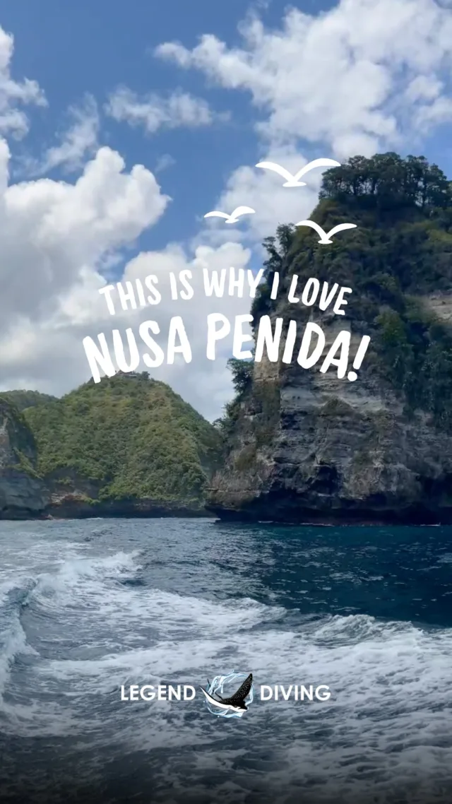 Nusa Penida is a magical place for diving, famous for Manta Ray and Mola Mola encounters, clear waters, and vibrant coral reefs. Ready to explore the Nusa Penida underwater world? Let us guide your adventure!#nusapenida #bali #divingnusapenida #divenusapenida #nusapenidabali #balidiving #divingbali #scubadivingbali