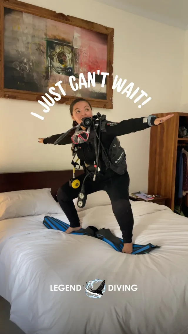 I literally can't wait!! Let's go diving!🤿#divinglife #scubadiverslife #scubadivingvideos #scubadivingcontent #divers #scuba #scubagirls #girlsthatscuba #scubameme #divingmemes