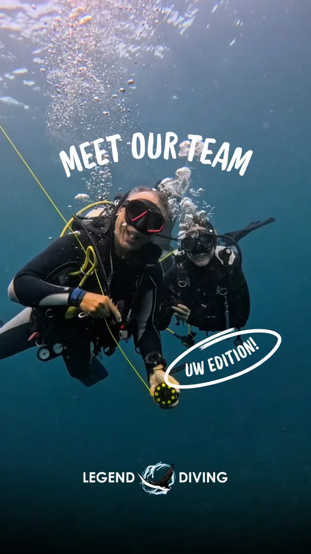 When the whole office is obsessed with the ocean.. 🙈🌊🤿#divepro #diveprofessionals #fundivers #fundivingbali #fundivebali #scubadivingbali #divecenterbali #padidivecenter