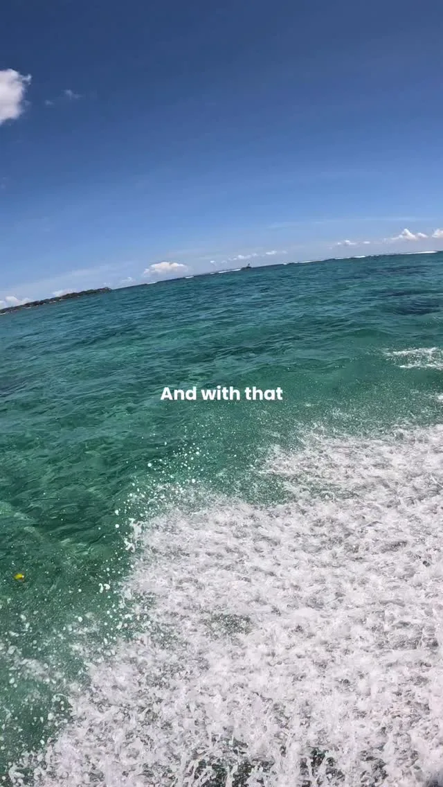 As the 2025 season comes to an end, we want to say a huge thank you to every diver who blew bubbles with us this year! Thank you for choosing us! 🌊#2025recap #2025season #2025 #recap #newyear #2025seasoncomestoanend #diving #diver #openwater #advanceddiver #scubadivingcourse #divingcourse #divecenter #padidivecenter #paditv