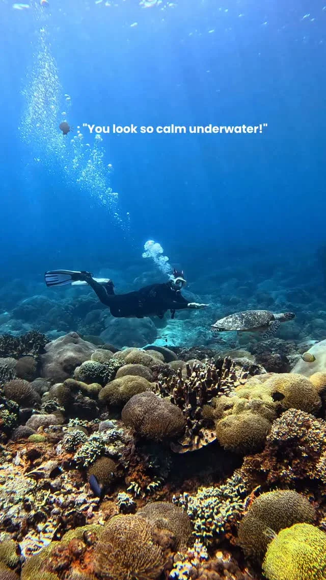 Me on land: absolute chaos🙃.#meme #memedaily #funnyvideo #divers #diverlife